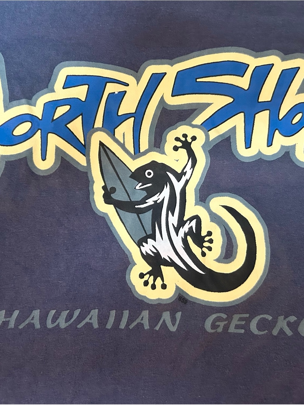 Hawaiian Gecko Pets Reptile Graphic Tee - Blue/Black